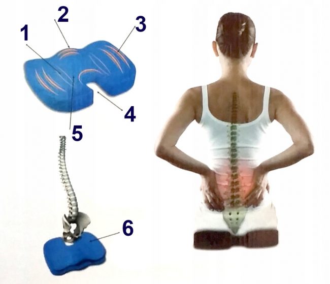 Ortopedinė pagalvė sėdėjimui nuo nugaros skausmo