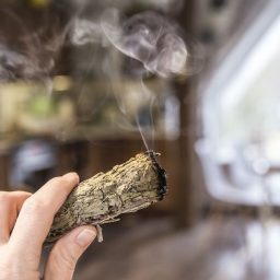 Namų energetinis apvalymas Palo Santo