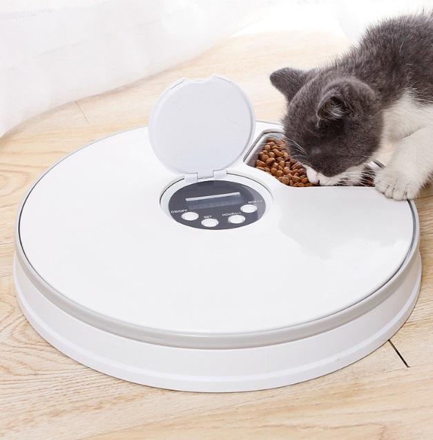 Automatinė šėrykla katėms, maisto dozatorius