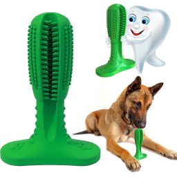 Kramtukas šunims su dantų pastos rezervuaru