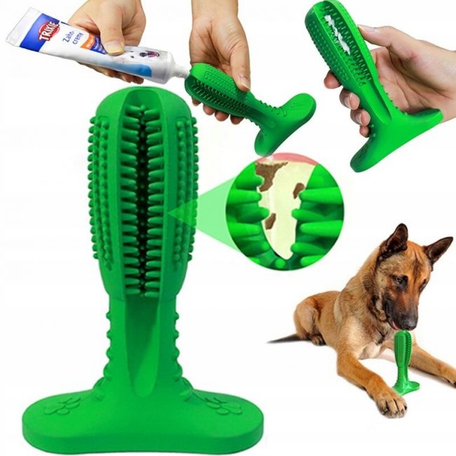 Kramtukas šunims dantų valymui