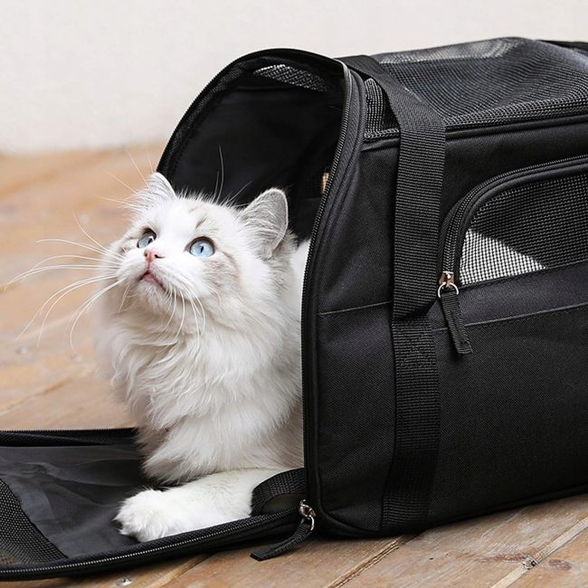 Katės transportavimo krepšys