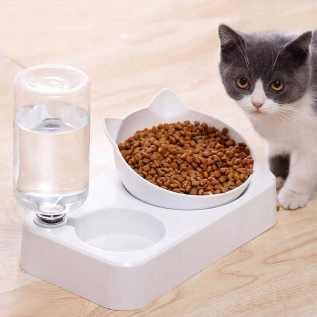 Kačių maisto dubenėlis vandens dozatorius