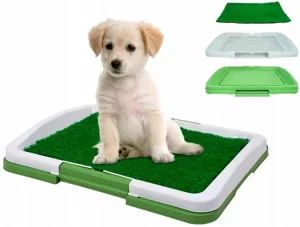 Šuns tualetas su žolės imitacija