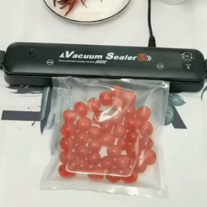 Maisto vakuumatorius
