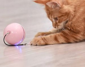 Judantys žaislai katėms kamuoliukas