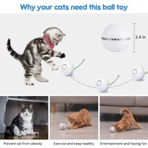 Judantys žaislai katėms