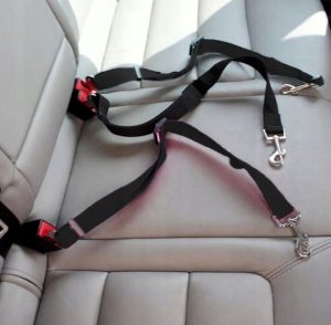 automobilinis saugos diržas šunims