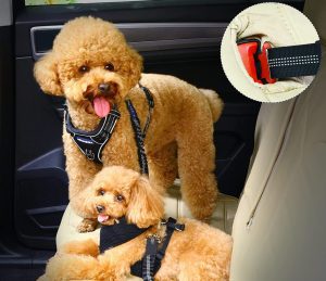automobilinis saugos diržas šunims