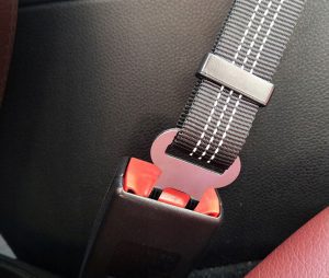 automobilinis saugos diržas šunims