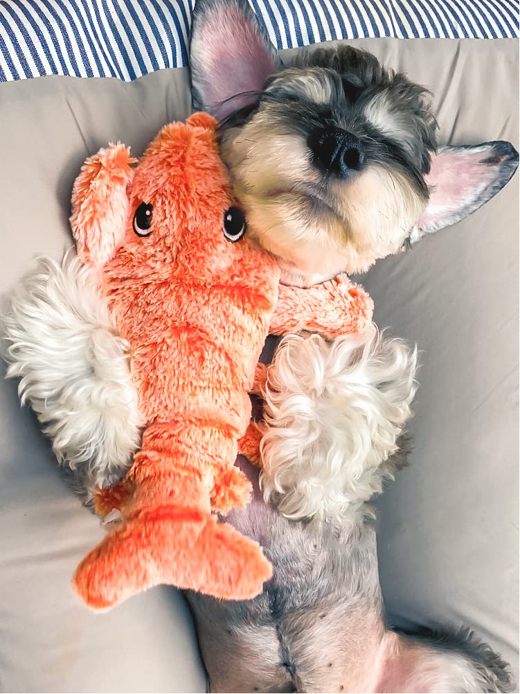 LobsterToy žaislas šunims ir kitiems augintiniams