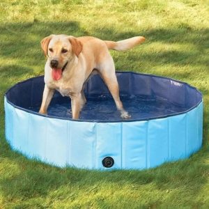 Sulankstomas baseinas šunims