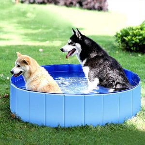 Sulankstomas baseinas šunims