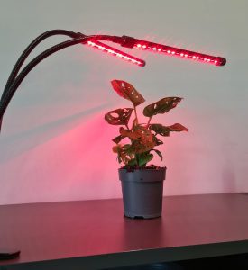 LED Lempa augalų auginimui