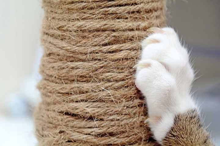 Katės draskyklė: džiuto virvė 10 m