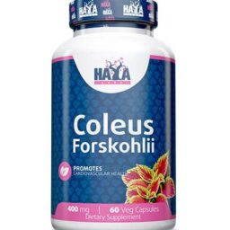 Haya Labs Coleus Forskohlii (Barzdotųjų cimbžiedų (coleus forskohlii) šaknų ekstraktas) 60 kaps.