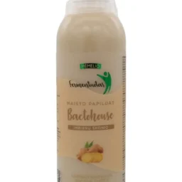Mėmelio fermentuotas BACTOHOUSE imbierų skonio 1000 ml.