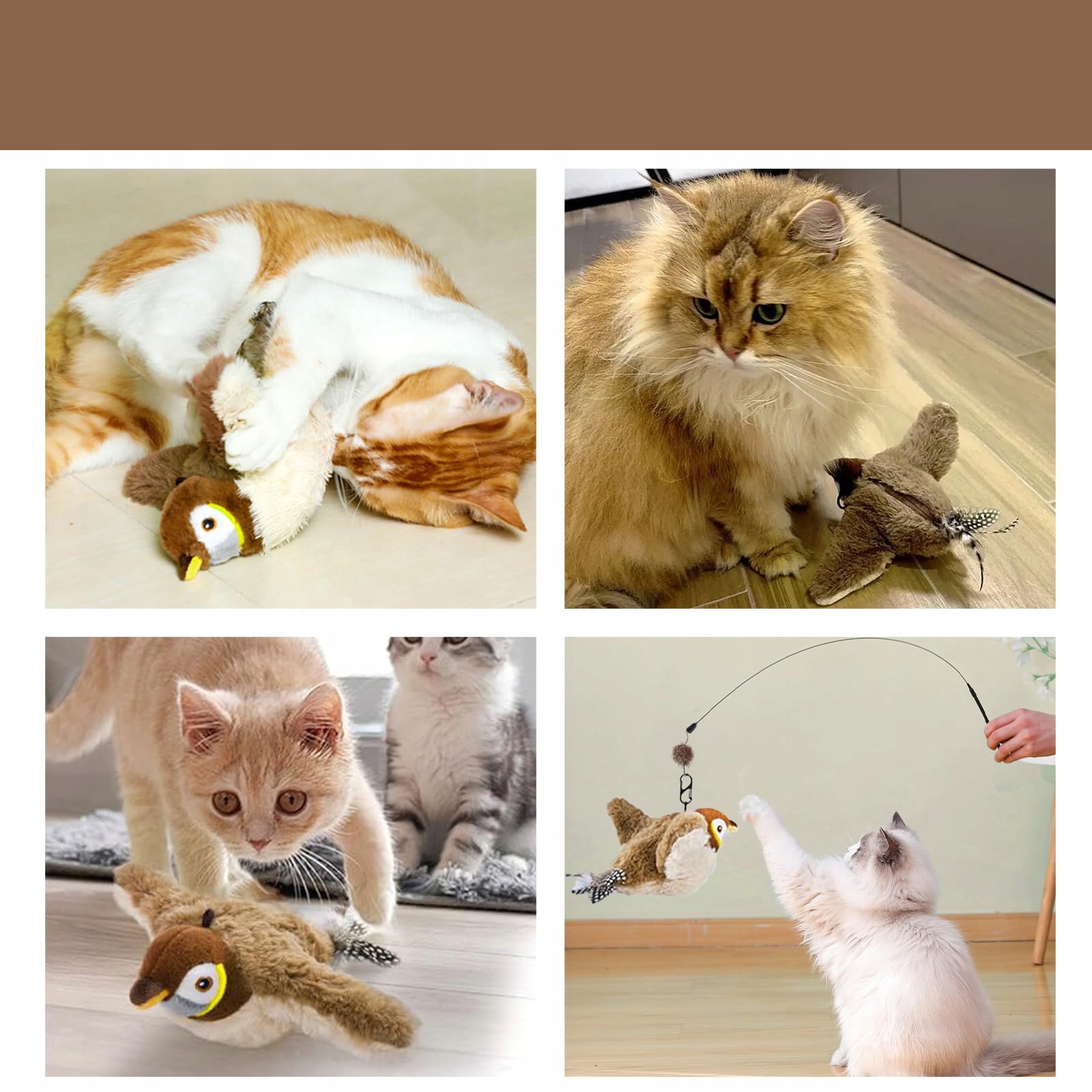 judantis paukštis katėms