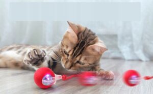 Žaislas naminiams gyvūnėliams, kuris juda nuo prisilietimo | GATOPLAY