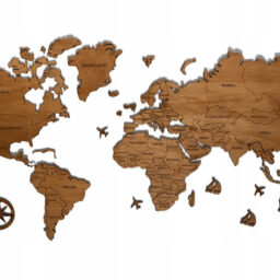 Medinis pasaulio žemėlapis ant sienos