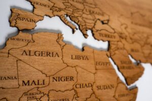 Medinis žemėlapis ant sienos puzlė