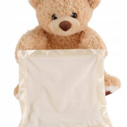 Interaktyvus Meškiukas Peek a Boo