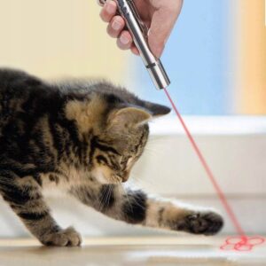 Interaktyvus lazerinis žaidimas Halpix augintiniams LED Laser Pointer